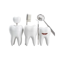 Animated teeth with dental instruments to clean them